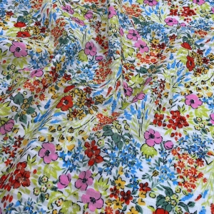 Organza Crepe Plaids Transparent Digital